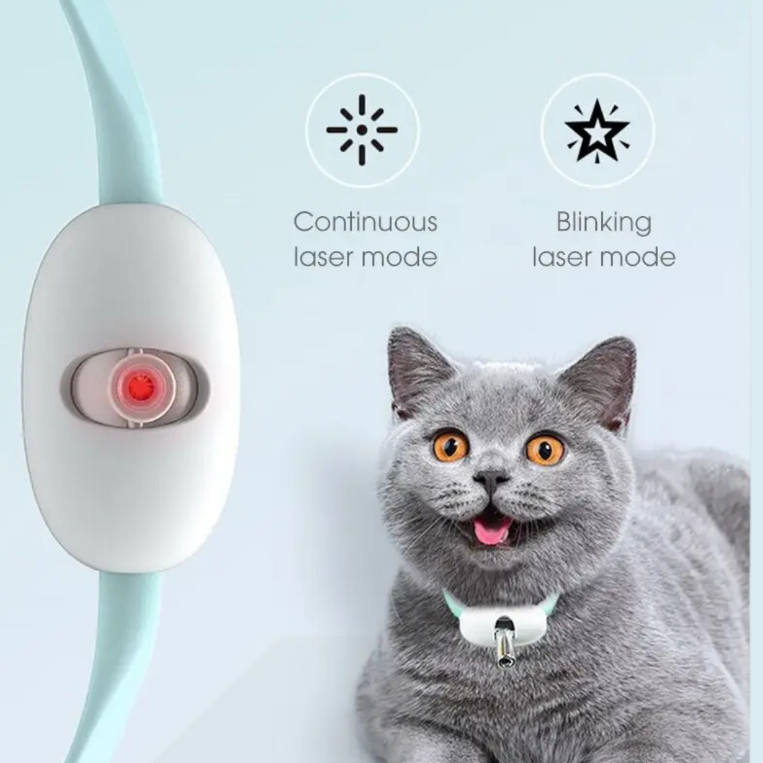 KittyPro Laser Collar