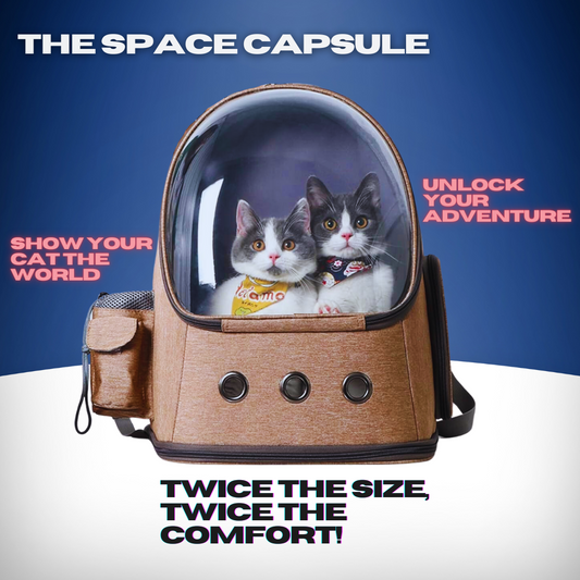 The Space Capsule