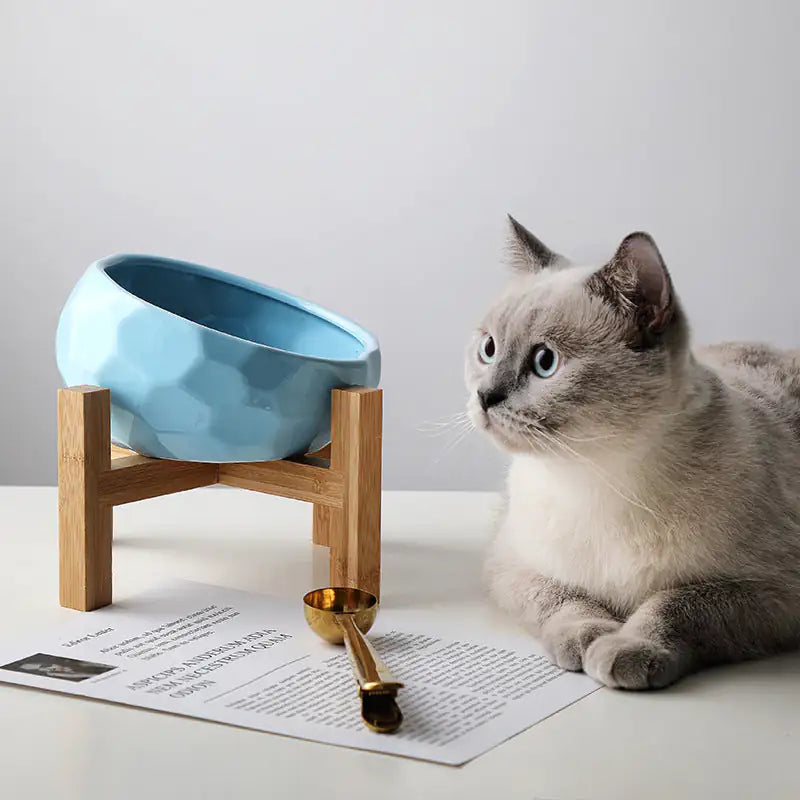 The Purrfect Cat Bowl