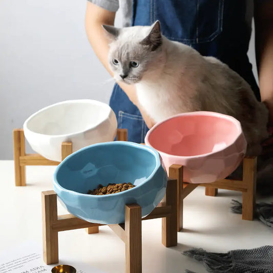 The Purrfect Cat Bowl