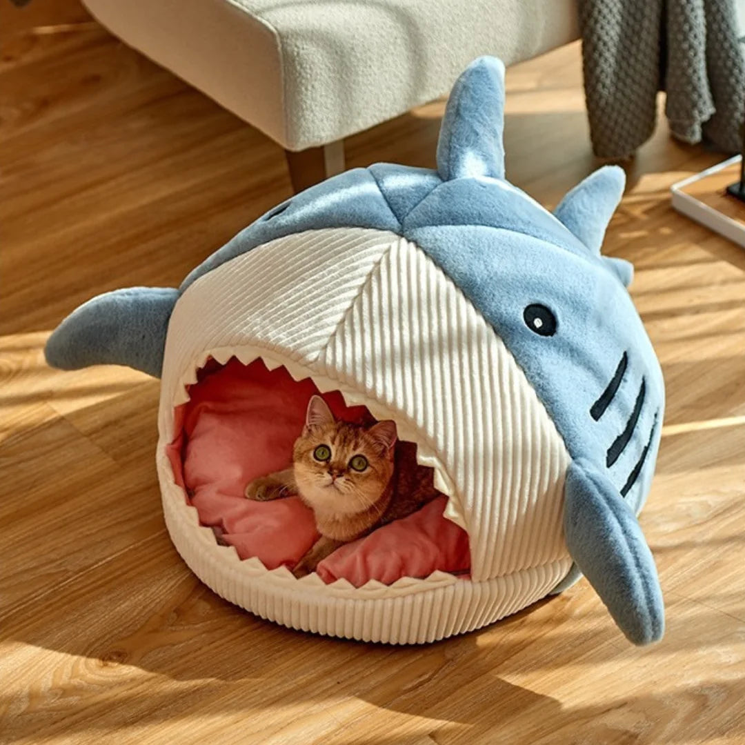 The Sharky Bed